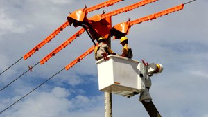 Góc nhìn trưa nay | Thủ tướng yêu cầu kiểm tra việc tăng giá điện