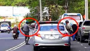 Đà Lạt mạnh tay trị “cò đặc sản”