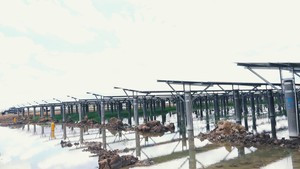 Long An: Khánh thành Nhà máy năng lượng mặt trời hơn 1.000 tỉ đồng