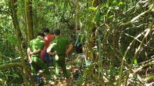 Phát hiện thi thể người đàn ông đang phân huy trên đèo Bảo Lộc