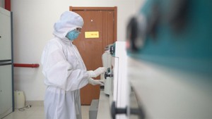 Khám phá bộ gene lúa mì cổ đại