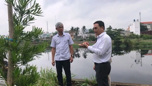 Cho dân trồng tạm cây dọc kênh để ngăn xả rác, tệ nạn xã hội