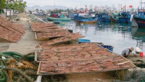 Làng chài Hòn Rớ nhộn nhịp mùa khô biển