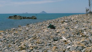 Một bãi biển không có cát trắng hiếm thấy tại Nha Trang