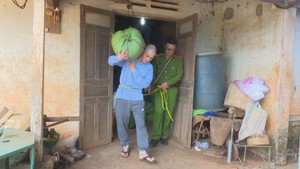 9 tháng gây ra 29 vụ trộm nông sản trên 1 tỷ đồng