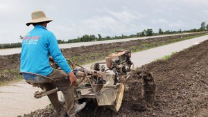 Máy vun mô cải tiến từ máy xới “made in” nông dân