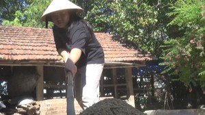 Những cánh chim vượt qua dông bão