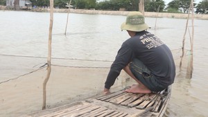 Nhiều lưới cước đánh bắt kiểu tận diệt ở vùng nước nổi