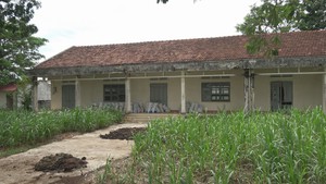 Điểm trường bỏ hoang, biến thành nơi chất rơm, phân bón