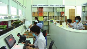 TP.HCM tổng kiểm tra các hoạt động có liên quan đến dược chất gây nghiện