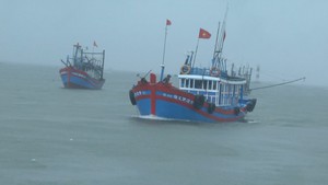 Quảng Ngãi: 34 tàu cá tìm nơi tránh trú áp thấp nhiệt đới