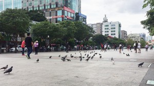 Chỉnh trang phố đi bộ Nguyễn Huệ để phục vụ dân tốt hơn