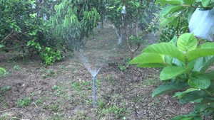 Độc đáo hệ thống tưới thông minh tự động, tự ẩn