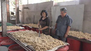 Làng nghề rượu Phú Lễ trăm tuổi vẫn giữ được cách nấu rượu truyền thống