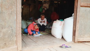 Khát khao tìm chữ giữa đại ngàn
