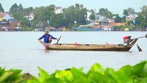 Góc nhìn trưa nay | Một ngày giăng lưới cá cơm mùa nước cạn trên sông Tiền