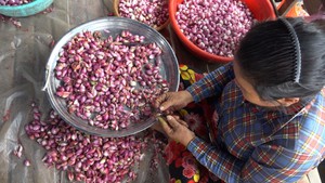 Góc nhìn trưa nay | “Nghề cay mắt” của người miền Tây giữa lòng Sài Gòn