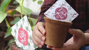 Góc nhìn trưa nay | Hành trình “Gieo hạt may mắn” của chàng trai 8X