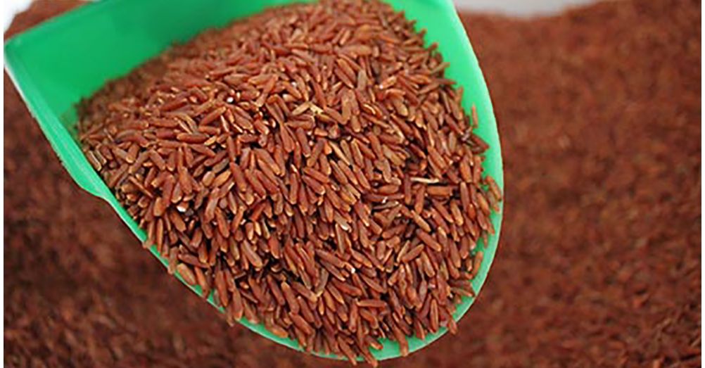 Vì sao dùng gạo lứt muối mè phải ăn chậm nhai kỹ?