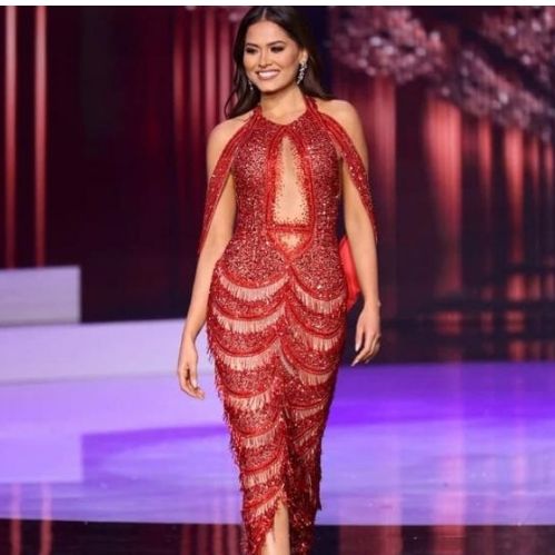 Đầm dạ hội của Miss Universe 2020 bị nghi đạo nhái