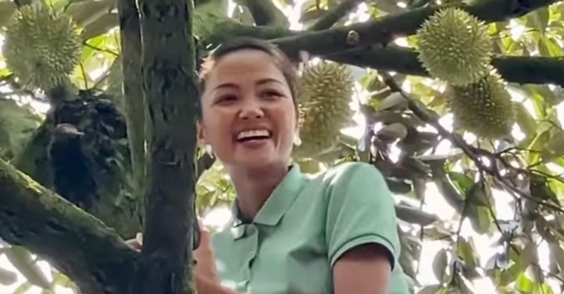 Thót tim theo dõi H"Hen Niê leo cây sầu riêng cao hơn 5m