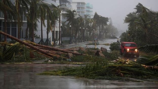 Bão Irma trút cơn thịnh nộ xuống Florida - Ảnh 3.