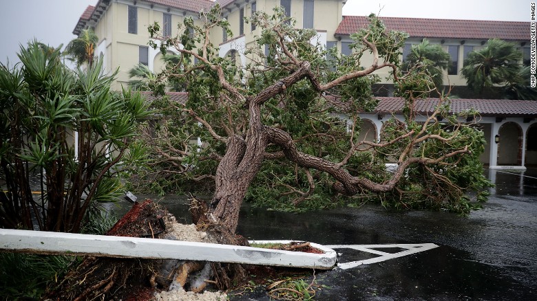 Bão Irma trút cơn thịnh nộ xuống Florida - Ảnh 7.