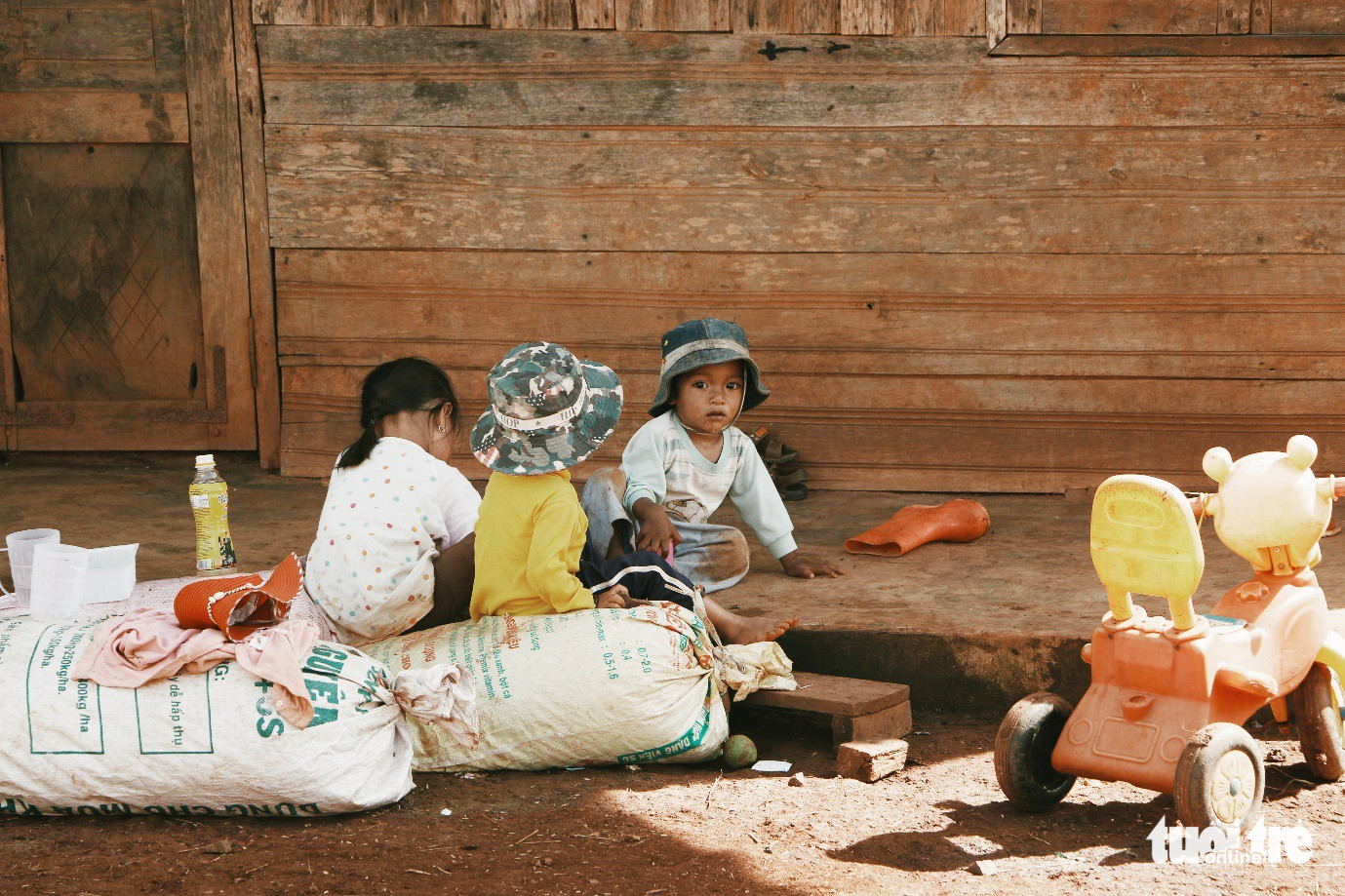 Hạnh phúc ngày mùa về trên cao nguyên Di Linh - Ảnh 10.