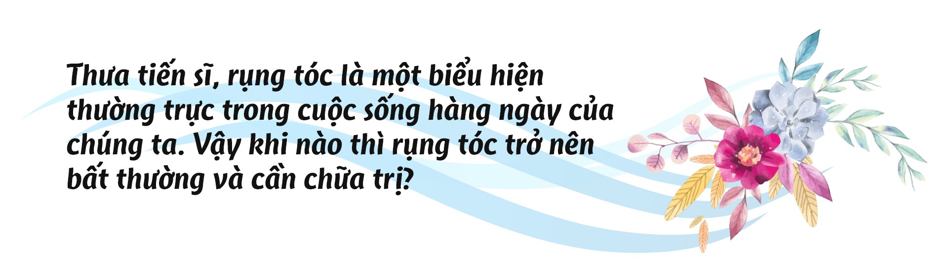 Tế bào mầm tóc - yếu tố quyết định tóc mọc chắc khỏe và dài lâu - Ảnh 2.