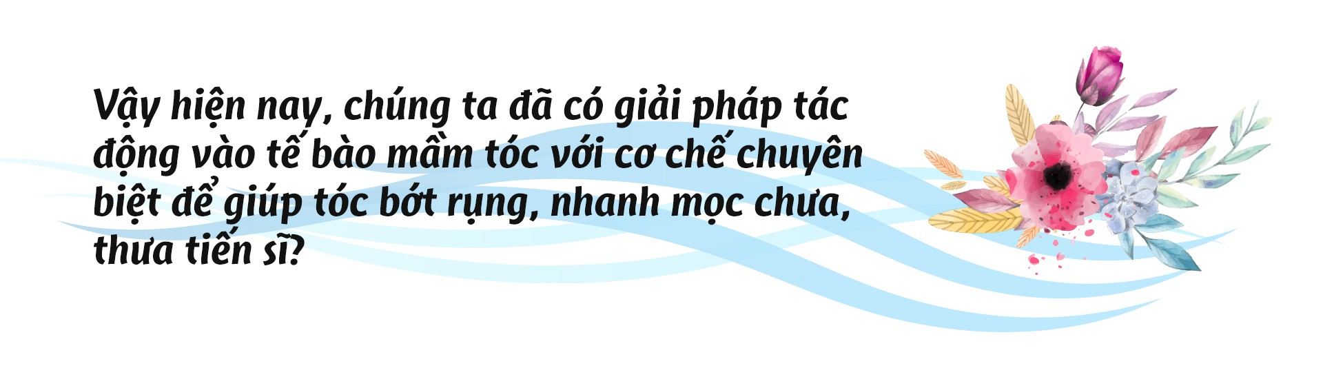 Tế bào mầm tóc - yếu tố quyết định tóc mọc chắc khỏe và dài lâu - Ảnh 10.