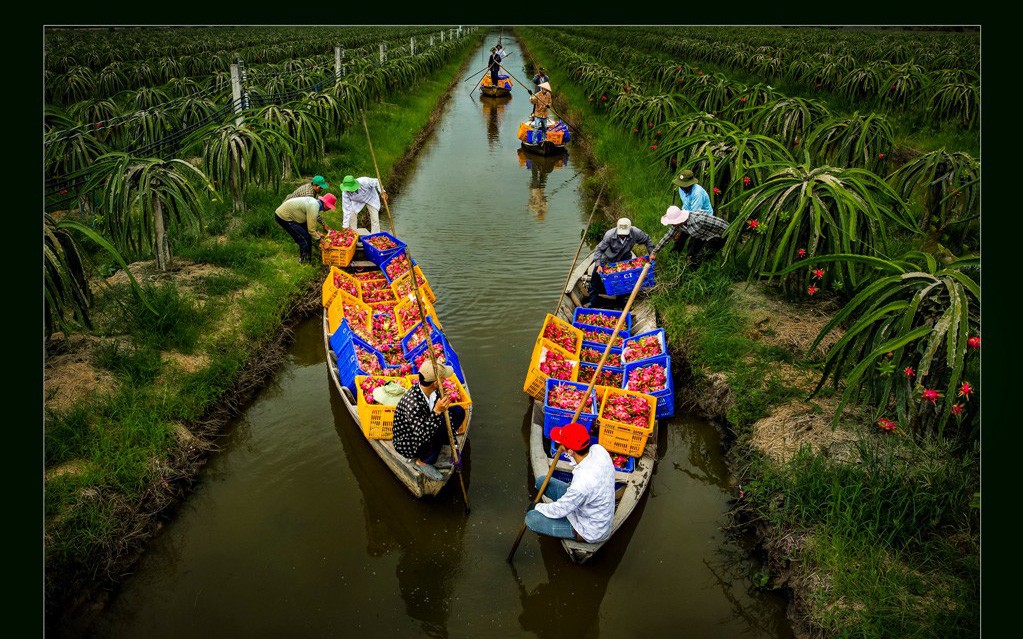 Ngây ngất với thiên nhiên và đời sống người Việt qua ảnh