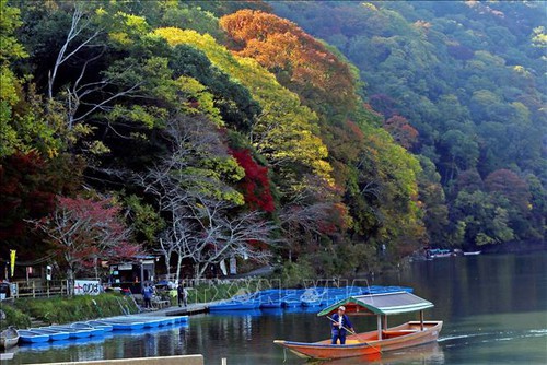 Chiêm ngưỡng cảnh sắc tuyệt đẹp ở công viên Arashiyama, Kyoto - Ảnh 2.