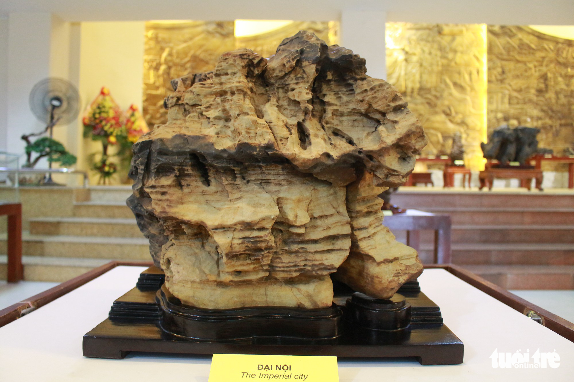 Nhà sưu tập Phan Khôi triển lãm đá cảnh Suiseki tại Đà Nẵng - Ảnh 9.