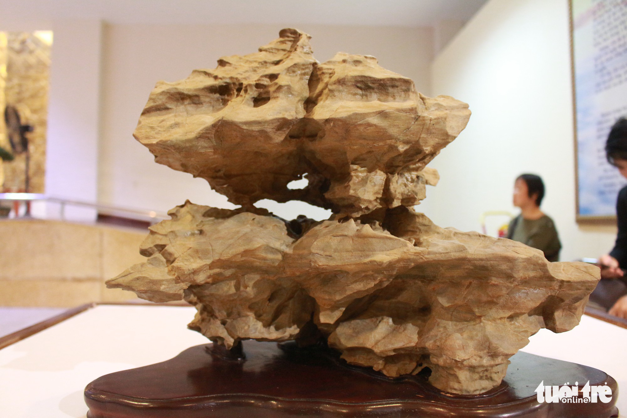 Nhà sưu tập Phan Khôi triển lãm đá cảnh Suiseki tại Đà Nẵng - Ảnh 20.