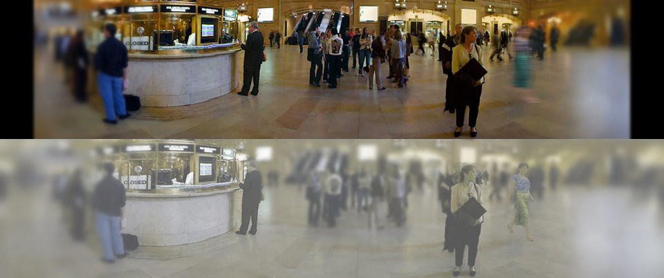 Cùng một cảnh vật, mắt mèo nhìn khác mắt người ra sao? - Ảnh 2. Cùng một cảnh vật, mắt mèo nhìn khác mắt người ra sao? - Ảnh 2.