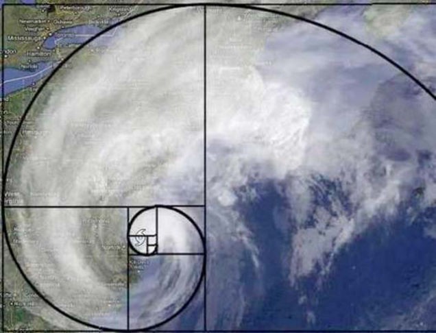 Dãy số Fibonacci và những bí ẩn trong tự nhiên - Ảnh 9.