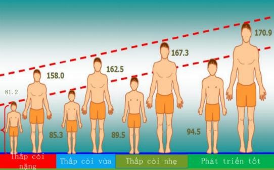 Chiều cao lúc nhỏ ảnh hưởng tầm vóc khi trưởng thành - Ảnh 4.