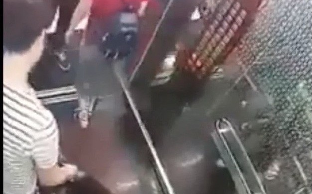 Án mạng từ mâu thuẫn chó nuôi phóng uế trước nhà hàng xóm- Ảnh 2. Clip thanh niên để chó phóng uế trong thang máy chung cư, gây bức xúc