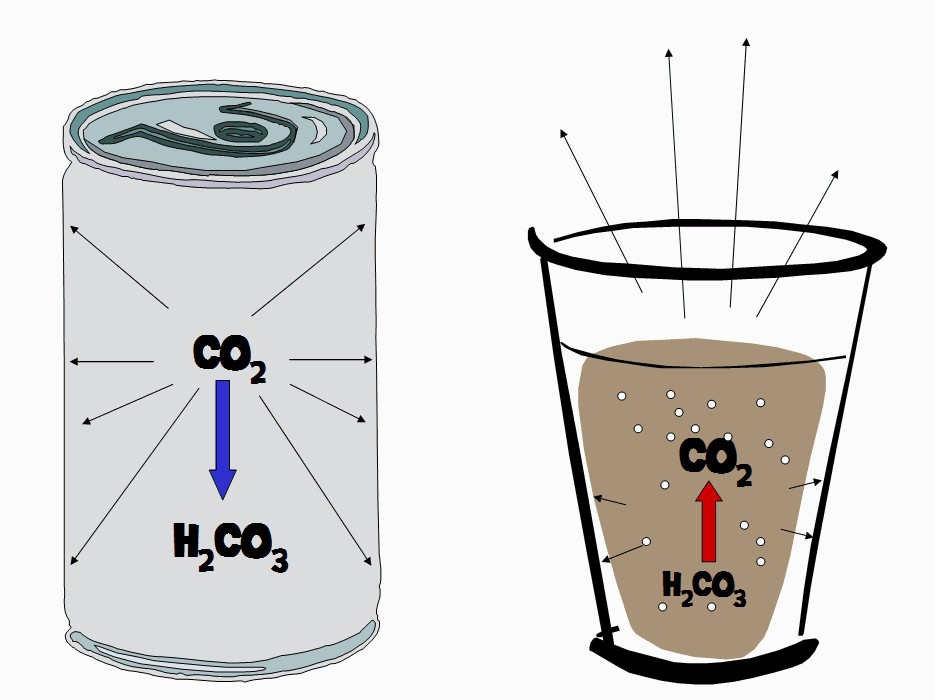 Vì sao dùng CO2 trong nước ngọt có ga? - Ảnh 4.