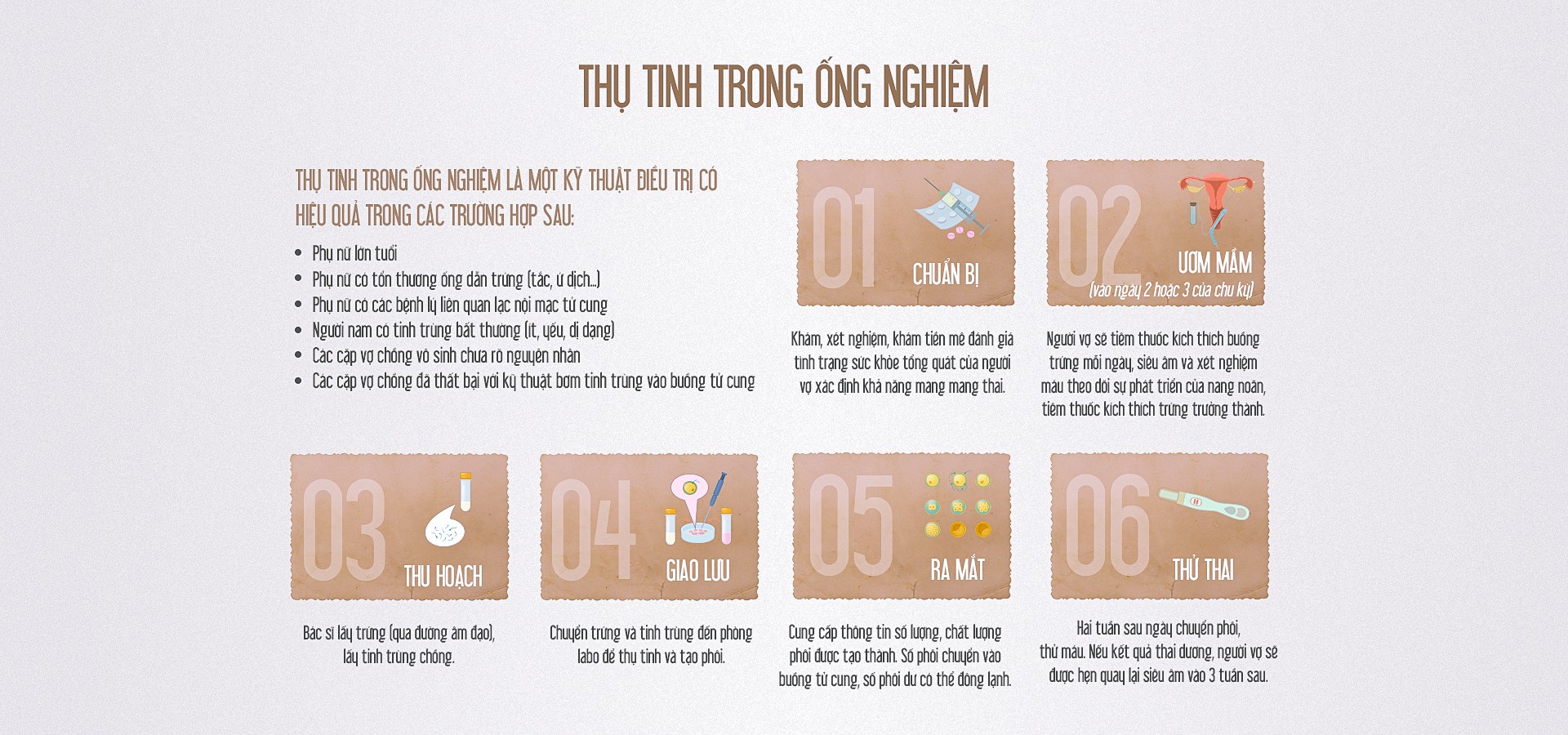 Hành trình 20 năm của những đứa trẻ thụ tinh trong ống nghiệm - Ảnh 17.