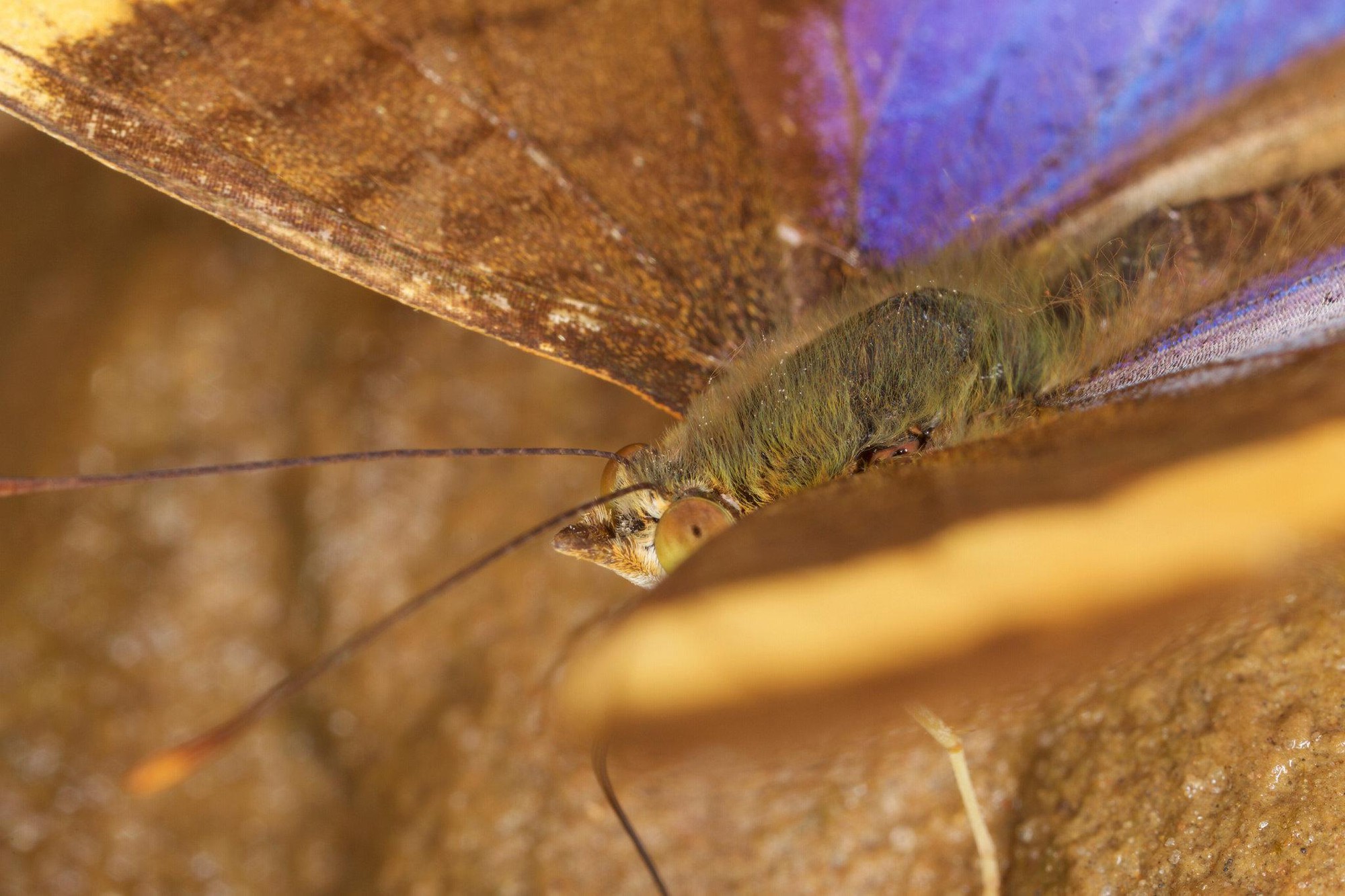 Đột nhập vườn quốc gia đa dạng sinh học nhất Trái đất - Ảnh 7. Đột nhập vườn quốc gia đa dạng sinh học nhất Trái đất