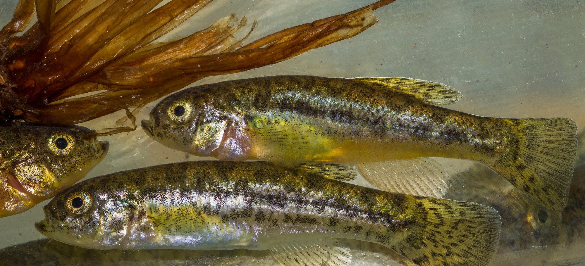 Đột nhập vườn quốc gia đa dạng sinh học nhất Trái đất - Ảnh 8. Đột nhập vườn quốc gia đa dạng sinh học nhất Trái đất