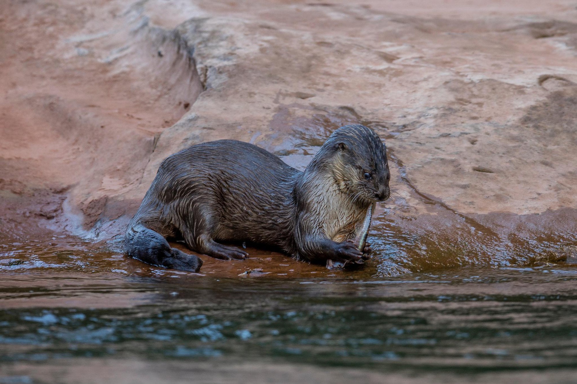 Đột nhập vườn quốc gia đa dạng sinh học nhất Trái đất - Ảnh 11. Đột nhập vườn quốc gia đa dạng sinh học nhất Trái đất