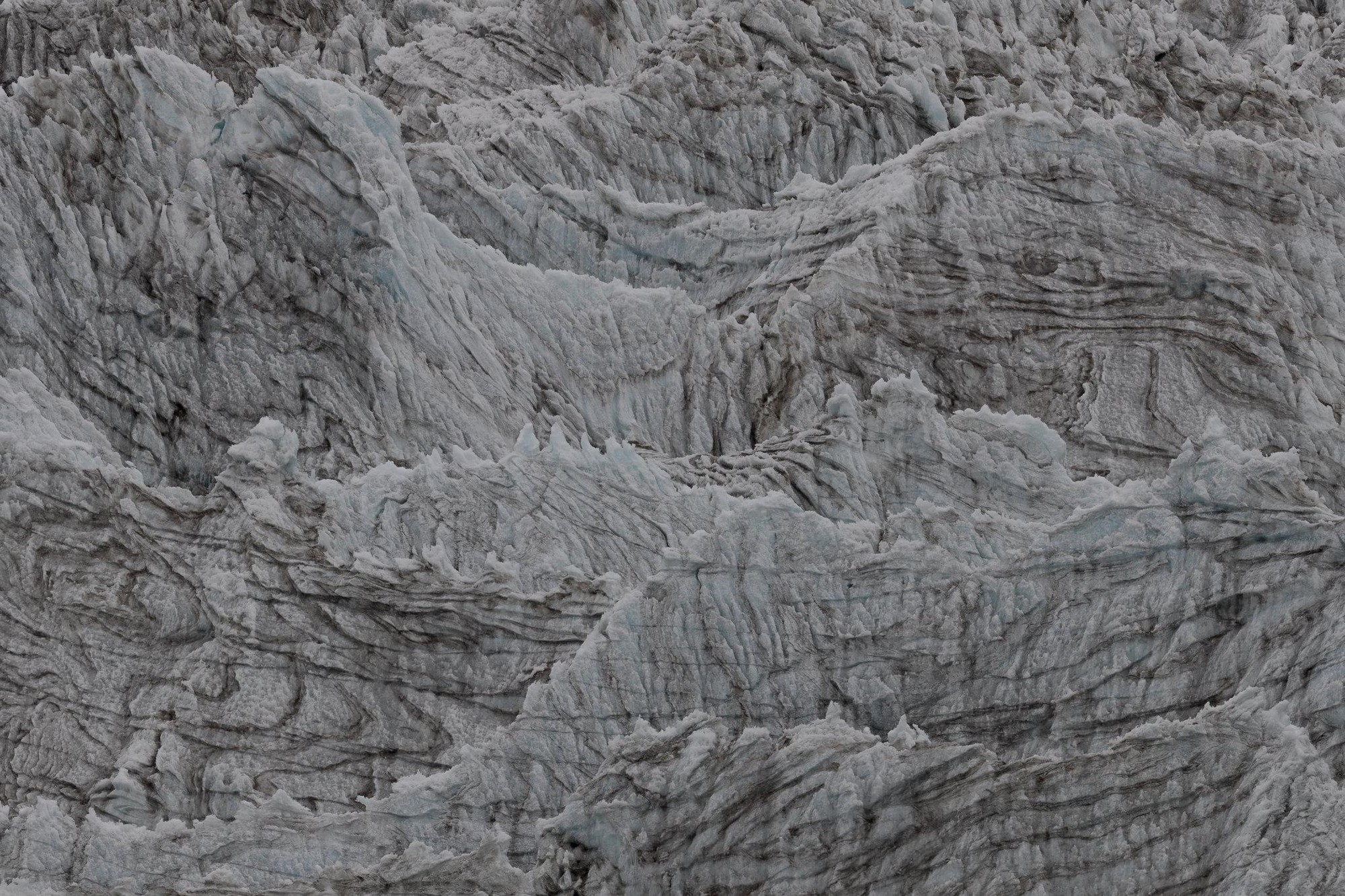 Đột nhập vườn quốc gia đa dạng sinh học nhất Trái đất - Ảnh 2. Đột nhập vườn quốc gia đa dạng sinh học nhất Trái đất