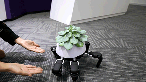 Robot trồng cây có thể tự di chuyển về phía ánh sáng - Ảnh 3.