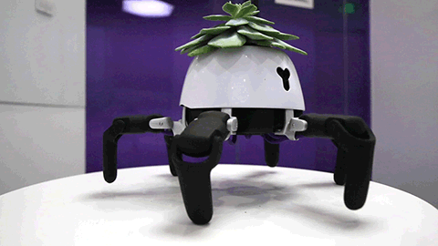 Robot trồng cây có thể tự di chuyển về phía ánh sáng - Ảnh 4.