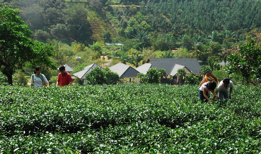 Nguyên nữ đại biểu Quốc hội chết bất thường sau làm đẹp - Ảnh 3.