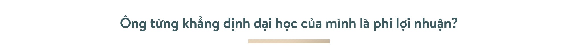 Ông Phạm Nhật Vượng: Thế giới phải biết Việt Nam trí tuệ, đẳng cấp - Ảnh 16.