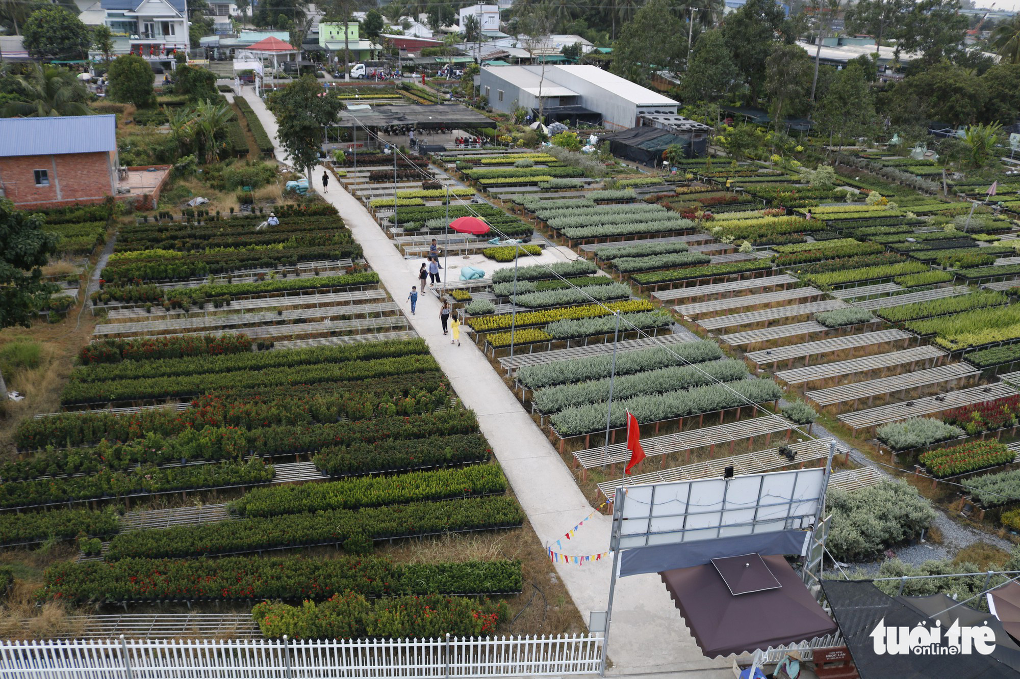 Nhà vườn Sa Đéc đầu tư tiền tỉ cho làng hoa dịp tết - Ảnh 8.