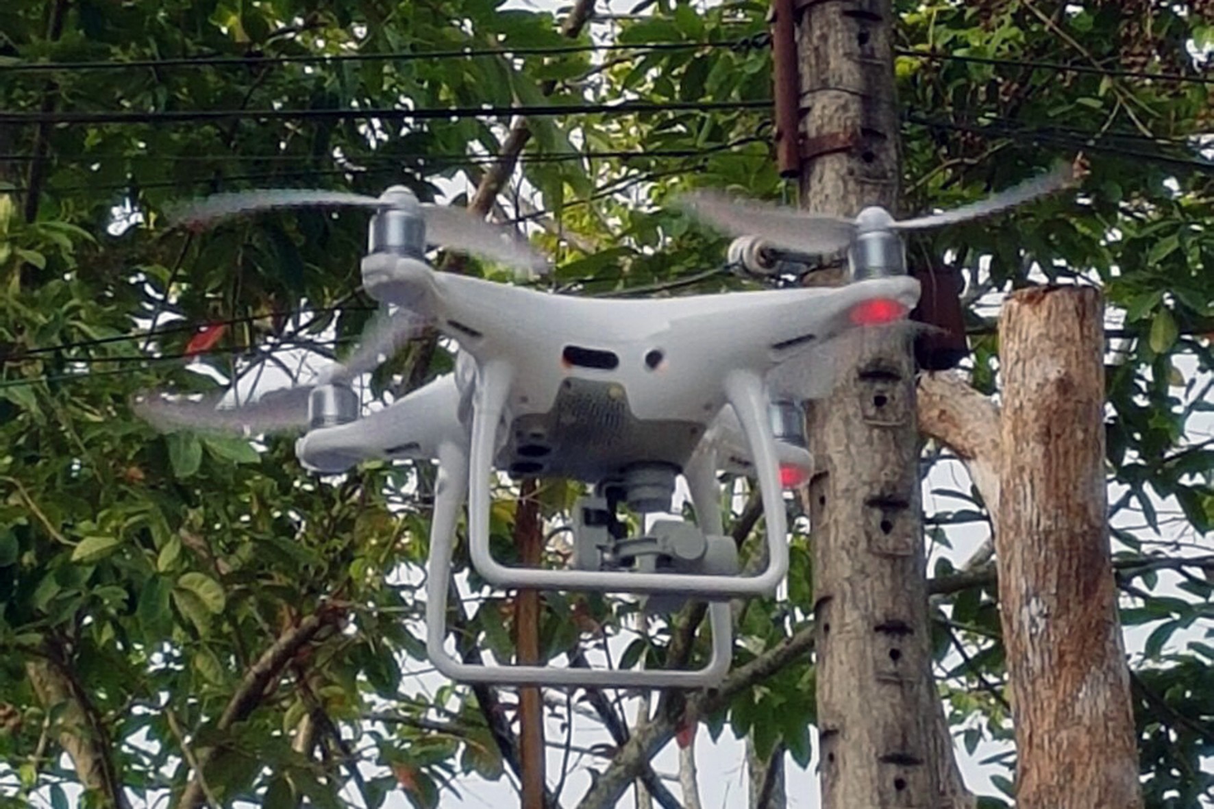 Đồng Nai trang bị flycam giám sát động vật rừng, phòng chống cháy rừng